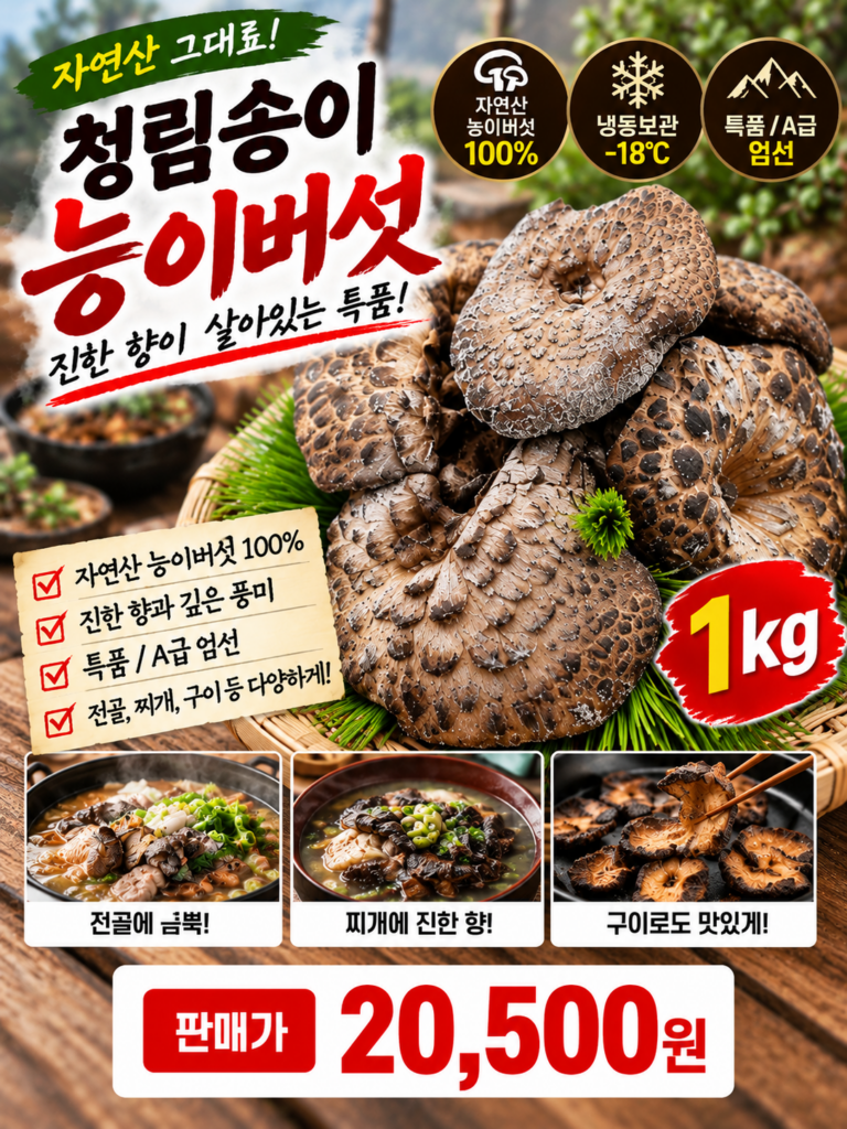 “핫딜” 자연산 능이버섯 1kg 가격 | 효능 먹는법 보관법 손질법