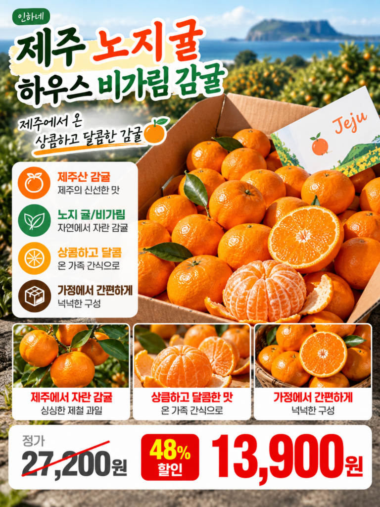 비염에 좋은 천연 항히스타민 제주 비가림 노지감귤 | 나오는 시기, 당도, 5kg가격